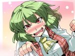  ascot blush breasts clenched_hand embarrassed fist green_hair highres kazami_yuuka large_breasts open_mouth pov red_eyes shirt_grab solo tears touhou tsuki_wani tsundere youkai 