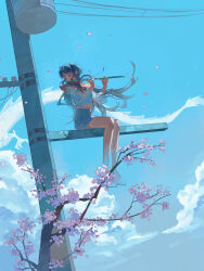  1girl absurdres blue_hair blue_shorts blue_sky cherry_blossoms closed_eyes clouds commentary_request covered_mouth dragon eastern_dragon falling_petals floating_hair flute gejiandenghuo highres holding holding_flute holding_instrument instrument long_hair original outdoors petals playing_flute playing_instrument power_lines shirt shoes shorts sitting sky solo utility_pole white_shirt white_shoes wind 