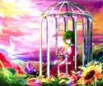  cage colorful flower green_hair kazami_yuuka kazu_(muchuukai) looking_back pink_eyes short_hair sitting solo sunflower touhou youkai 