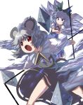  animal_ears blue_eyes blue_hair bow cirno grey_hair hair_bow highres mouse_ears mouse_tail multiple_girls nazrin red_eyes shope short_hair tail touhou wings 