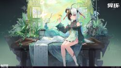  1girl absurdres animal_on_finger bamboo bird black_hair breasts bug butterfly china_dress chinese_clothes chinese_commentary closed_mouth commentary_request company_name copyright_logo copyright_name dress flower green_dress hair_between_eyes highres lacrimosa_(nightingale's_crescendo)_(nte) lacrimosa_(nte) leaf logo multicolored_hair neverness_to_everness official_alternate_costume official_art pink_nails red_eyes red_ribbon ribbon ribbon_legwear sitting sitting_on_table small_breasts socks split-color_hair string_of_pearls white_hair white_socks yellow_bird yellow_butterfly 