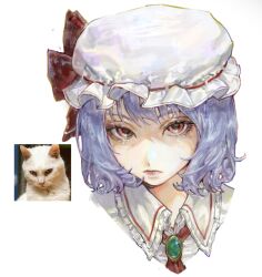  1girl amel_303 ascot blue_hair brooch cat hat hat_ribbon jewelry mob_cap photo-referenced portrait red_ascot red_eyes red_ribbon reference_inset remilia_scarlet ribbon short_hair touhou white_background 