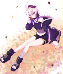  1girl absurdres ahoge bandaged_leg bandages blurry blurry_foreground boots coat commentary depth_of_field falling_leaves flower_(gynoid_talk) flower_(vocaloid) full_body fur-trimmed_coat fur_trim gynoid_talk highres holding holding_leaf kokodoko_(g_kkdk) leaf looking_at_viewer maple_leaf medium_hair midriff multicolored_hair nail_polish navel open-toe_boots pendant_choker purple_boots purple_coat purple_nails purple_shirt purple_shorts purple_streaks shirt short_shorts shorts sitting smile solo streaked_hair toenail_polish toenails torn_clothes torn_shirt violet_eyes vocaloid white_background white_hair 