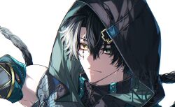  1boy black_hair black_hood closed_mouth commentary green_eyes hair_between_eyes heterochromia highres hisuririi jingran_(wuthering_waves) long_hair looking_at_viewer male_focus multicolored_hair portrait smile solo streaked_hair tacet_mark_(wuthering_waves) wuthering_waves yellow_eyes 