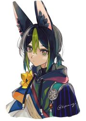  animal_ear_fluff animal_ears black_hair blue_hair commentary_request cropped_torso drawstring flower fox_boy fox_ears genshin_impact gradient_hair green_eyes green_hair hair_between_eyes highres hood hood_down looking_at_viewer low_ponytail medal mugi_(kyom_ugi) multicolored_hair ponytail short_ponytail simple_background solo tassel tighnari_(genshin_impact) twitter_username upper_body white_background yellow_flower 