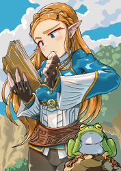  1girl absurdres aqua_eyes blonde_hair blue_shirt blue_sky book braid brown_gloves brown_pants commentary_request cowboy_shot crown_braid day fingerless_gloves frog gloves gold_trim highres holding holding_book kuroneko_douji long_hair long_sleeves open_book outdoors pants pointy_ears princess_zelda reading shirt sky the_legend_of_zelda the_legend_of_zelda:_breath_of_the_wild 
