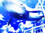  animal bird clouds sky whale 