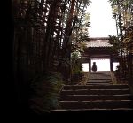  arioto bamboo bamboo_forest forest fujiwara_no_mokou nature shrine silhouette solo touhou 