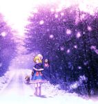 alice_margatroid an2a blue_eyes book boots bow brown_hair capelet doll dress forest from_behind hair_bow hat highres nature pantyhose photo_background ribbon road snow solo touhou white_legwear wind_mail