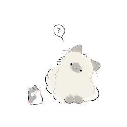 animal_focus cat commentary_request dot_nose hamster highres looking_at_another looking_at_viewer nasuka_gee no_humans original simple_background solid_circle_eyes speech_bubble two-tone_fur white_background 