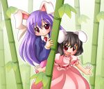  animal_ears bamboo bamboo_forest black_hair brown_hair bunny_ears carrot dress forest highres inaba_tewi jewelry multiple_girls nature necklace pendant purple_hair red_eyes reisen_udongein_inaba shinjitsu touhou 