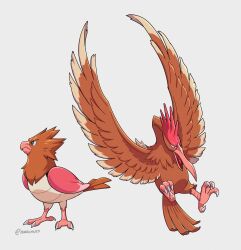  bird blue_eyes commentary evolutionary_line fearow highres lukapiles open_mouth pokemon pokemon_(creature) pokemon_focus profile simple_background spearow standing talons twitter_username untranslatable_commentary white_background wings 