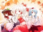  animal_ears blue_hair brown_hair cosplay costume_switch detached_sleeves futatsuki_hisame hakurei_reimu hakurei_reimu_(cosplay) hat hinanawi_tenshi hinanawi_tenshi_(cosplay) inubashiri_momiji inubashiri_momiji_(cosplay) miko multiple_girls red_eyes soutsuki_hisame tail tokin_hat touhou white_hair wolf_ears wolf_tail 