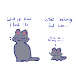  ._. :3 animal_focus artist_self-insert black_cat cat character_age closed_eyes commentary_request comparison english_text expectation_vs._reality glasses height highres mole mole_under_eye no_humans open_mouth original pipi_(m1x_mix) round_eyewear simple_background thai_commentary u_u white_background 