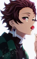  1boy absurdres bright_pupils brown_hair checkered_haori commentary_request demon_slayer_uniform food fruit hand_up haori high_collar highres japanese_clothes kamado_tanjirou kimetsu_no_yaiba looking_at_viewer male_focus may_(illust_man_2020) mouth_hold pink_eyes scar scar_on_face scar_on_forehead short_hair simple_background solo white_background white_pupils 