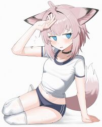  1girl absurdres ahoge alternate_costume animal_ears arknights arm_up black_choker blue_eyes blush bright_pupils choker diamond-shaped_pupils diamond_(shape) highres legs_together looking_at_viewer material_growth midriff_peek navel open_mouth oripathy_lesion_(arknights) panties pink_hair shirt short_hair short_sleeves simple_background sitting small_sweatdrop solo spam_(spamham4506) sports_panties sussurro_(arknights) symbol-shaped_pupils t-shirt tail thigh-highs underwear white_background white_pupils white_shirt white_thighhighs yokozuwari 