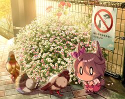  0_0 1girl animal_ears bird blush bow brown_hair commentary_request ear_bow fence flower hair_between_eyes highres horse_ears horse_girl horse_tail narita_taishin_(umamusume) no_mouth odawara_hakone original overalls pants pigeon pink_bow pink_overalls pink_pants shirt short_hair sitting tail umamusume white_shirt 