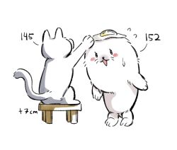  animal_focus artist_self-insert blush_stickers cat commentary fang flying_sweatdrops food food_on_head fried_egg headpat height no_humans object_on_head on_stool original porari rearing seal_(animal) simple_background stool sweatdrop white_background 