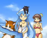  animal_on_head brown_eyes brown_hair cat cat_on_head dress hairband hat highres ikamusume long_hair mimiyamakiichi multiple_girls nagatsuki_sanae open_mouth shinryaku!_ikamusume swimsuit tentacle tentacle_hair tentacles 