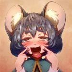 ahegao animal_ears bad_id blush brown_eyes close-up face mouse_ears nazrin open_mouth saliva solo tongue tora_(pixiv) tora_(trampjing) touhou