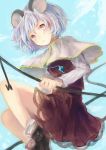  animal_ears bad_id capelet dress grey_hair jewelry mouse_ears mouse_tail nazrin necklace pendant shigu solo tail touhou 