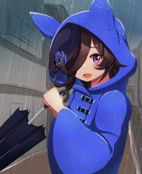  1girl absurdres animal_ears blue_flower blue_hat blue_raincoat blue_rose blush brown_hair clouds cloudy_sky commentary_request flipped_hair flower hair_over_one_eye hat hat_flower highres holding holding_umbrella hood hood_up hooded_coat horse_ears horse_girl katsushika_yuki long_hair long_sleeves looking_at_viewer open_mouth outdoors rain raincoat rice_shower_(umamusume) rose sky smile solo tilted_headwear umamusume umbrella violet_eyes 