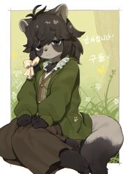  1girl absurdres animal_ears animal_feet animal_nose black_hair body_fur border borrowed_character bow brown_skirt bug butterfly cardigan english_commentary furry furry_female grass green_cardigan hair_bow highres kame_(3t) korean_text long_skirt medium_hair open_cardigan open_clothes original outside_border raccoon_ears raccoon_girl raccoon_tail signature sitting skirt solo tail white_border yokozuwari 