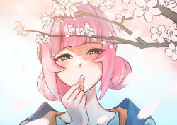  1girl absurdres blue_coat blue_eyes blush cherry_blossoms coat commentary_request double_bun flower hair_bun highres holding holding_petal hood hooded_coat kaf_(kamitsubaki_studio) kamitsubaki_studio looking_at_viewer medium_hair petals pink_flower pink_hair pulanali red_pupils solo virtual_youtuber yellow_pupils 