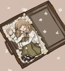  1girl brown_background brown_eyes brown_hair chinese_commentary collared_shirt commentary_request flower green_skirt haojbleng highres hugging_own_legs long_hair long_sleeves looking_at_viewer lying on_side open_mouth sena_ajisai shirt skirt solo watashi_ga_koibito_ni_nareru_wake_naijan_murimuri! white_flower white_shirt 