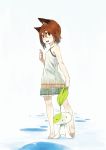  animal_ears barefoot blush_stickers brown_eyes brown_hair dress face flat_chest hrd looking_back original short_hair solo 