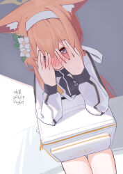  1girl absurdres animal_ears blue_archive blue_eyes flower gym_shirt gym_uniform hair_flower hair_ornament hairband halo highres jacket mari_(blue_archive) mari_(track)_(blue_archive) miso_jelly multicolored_jacket official_alternate_costume orange_hair shirt shy track_jacket two-tone_jacket white_flower yellow_halo 