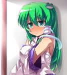  breasts bust detached_sleeves frog green_eyes green_hair hair_ornament hair_tubes katami_shinta kochiya_sanae long_hair snake solo touhou 