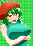  angry beret breast_hold breasts bust contemporary crossed_arms green_hair hat kazami_yuuka large_breasts mattari_yufi miraisen red_eyes solo sweater touhou youkai 