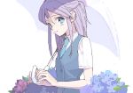  flower hoochi_gumo inazuma_eleven inazuma_eleven_(series) kudou_fuyuka purple_hair smile umbrella 