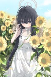  1girl :/ absurdres alternate_costume alternate_hairstyle bags_under_eyes black_hair blue_archive blush braid brown_halo chinese_commentary commentary_request cowboy_shot crossed_bangs day dress facing_viewer field flower flower_field halo hand_up hat hat_on_back highres holding holding_flower long_hair looking_at_viewer low_twin_braids outdoors sleeveless sleeveless_dress solo straight-on straw_hat sunflower sunflower_field twin_braids ui_(blue_archive) violet_eyes wasabi_koharu white_dress 