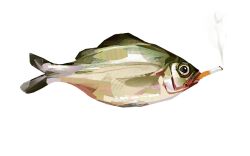 animal animal_focus cigarette commentary english_commentary fish fish_request full_body highres junbuug no_humans original pun simple_background smoking solo too_literal white_background 