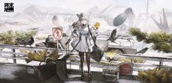  1girl absurdres animal_ears arknights arknights:_endfield bare_shoulders bird bird_ears bird_girl black_bird black_gloves black_pantyhose chinese_commentary closed_mouth commentary_request dddkzero dress full_body gloves grey_eyes grey_hair highres jacket long_hair looking_at_viewer multicolored_gloves off_shoulder outdoors pantyhose perlica_(arknights) smile solo standing two-sided_gloves two-tone_gloves waving white_dress white_jacket yellow_gloves 