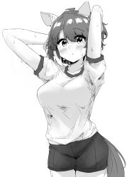  1girl absurdres animal_ears arms_behind_head blush breasts closed_mouth commentary_request dantsu_flame_(umamusume) ear_covers greyscale gryebooks gym_uniform highres horse_ears horse_girl horse_tail large_breasts monochrome shirt short_hair short_shorts short_sleeves shorts solo sweat t-shirt tail umamusume 