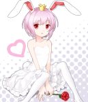  aisatsu_no_mahou animal_ears arigato_usagi bare_shoulders bunny_ears bunny_tail flower pantyhose purple_hair red_eyes red_rose rose short_hair sitting solo tail tucana tutu white_legwear 