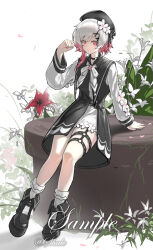  1girl absurdres artist_name belt black_belt black_choker black_dress black_hat black_shoes chinese_commentary choker closed_mouth commentary_request dress flower frilled_socks frills full_body hair_flower hair_ornament hand_up hat highres legs long_sleeves mahou_shoujo_no_majo_saiban making-of_available multicolored_hair neck_ribbon petals red_eyes red_flower red_hair red_petals ribbon sakuraba_ema sample_watermark shale shoes simple_background sitting socks solo two-tone_hair watermark white_background white_dress white_flower white_hair white_ribbon white_socks x_hair_ornament 