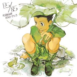  1boy 7enn animal boots closed_mouth colored_skin commentary_request frog gon_freecss grass green_boots green_shirt green_shorts highres hunter_x_hunter leaf lily_pad male_focus pond rock shirt shoes short_hair shorts sitting smile very_short_hair white_background yellow_skin 