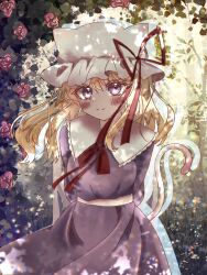  1girl absurdres animal_ears arms_behind_back blush cat_ears cat_girl cat_tail closed_mouth collared_dress commentary contrast_collar dress flower frilled_shirt_collar frills garden hat highres ibispaint_(medium) kemonomimi_mode leaf long_hair maribel_hearn marimohu_starry mob_cap neck_ribbon purple_dress red_flower red_ribbon red_rose ribbon rose smile solo standing tail touhou violet_eyes white_hat 