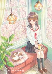  1girl black_sailor_collar black_skirt black_socks braid brown_eyes brown_hair brown_shoes calico_(pattern) calico_cat cat cherry_blossoms closed_mouth coffee coffee_mug collarbone commentary_request cup curtains drink from_above full_body hands_on_lap hanging_light highres holding holding_drink indoors k.nishiyama kneehighs loafers long_hair long_sleeves looking_at_animal looking_to_the_side low_twin_braids miniskirt mug neckerchief original pillow plant pleated_skirt potted_plant red_neckerchief sailor_collar school_uniform serafuku shirt shoes sitting skirt sleeping_animal smile socks solo twin_braids watermark white_shirt window wooden_floor 