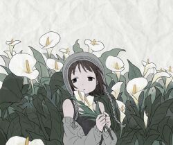  1girl beanie black_eyes black_hair black_tank_top calla_lily cardigan collarbone dot_nose field flower flower_field hat holding holding_flower leaf looking_to_the_side nihiru0513 open_cardigan open_clothes open_mouth original paper_background short_hair solo tank_top upper_body white_background 
