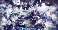  1boy 1girl absurdres animal_ears baishuo_(shining_nikki) black_capelet black_hanfu blue_shirt capelet chinese_clothes chinese_commentary chinese_hairpin closed_mouth commentary_request day expressionless extra_ears facial_mark falling_petals feather-trimmed_capelet flower forehead_mark full_body grey_hair hair_ornament hairpin half_updo hand_on_lap hand_on_own_stomach hanfu happy high_collar highres kneeling lap_pillow layered_sleeves light_particles long_hair long_sidelocks long_sleeves looking_at_another multiple_hairpins nikki_(series) ocean outdoors peacock_feathers petals pointy_nose puffy_long_sleeves puffy_sleeves purple_hanfu qingyue_(shining_nikki) rabbit_boy rabbit_ears shining_nikki shirt sidelocks straight_hair topknot tree under_tree watermark weibo_watermark white_flower white_hair wide_sleeves xuexi_yundong_he_kuaile_shi_meiri_keti yellow_eyes yunjian 