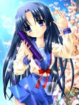  blue_eyes blue_hair cherry_blossoms diploma highres long_hair petals sachiko school_uniform suzumiya_haruhi_no_yuuutsu 