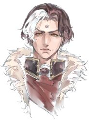  1boy brown_hair closed_mouth coat commentary_request earrings emet-selch final_fantasy final_fantasy_xiv fur-trimmed_coat fur_trim garlean highres jewelry looking_at_viewer male_focus multicolored_hair short_hair simple_background single_earring solo third_eye two-tone_hair upper_body white_background white_hair ww158357675977 yellow_eyes 