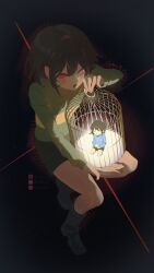  2others androgynous archx09 birdcage black_background brown_hair brown_shorts cage chara_(undertale) closed_eyes collared_sweater commentary frisk_(undertale) green_sweater highres holding holding_birdcage in_container long_sleeves looking_at_another multiple_others other_focus red_eyes shoes short_hair shorts simple_background smile striped_clothes striped_sweater sweater two-tone_sweater undertale utdr_(toby_fox) 