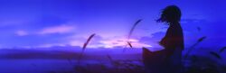  1girl 3d absurdres blice_jp capelet commentary_request dress dusk floating_hair grass highres landscape mountainous_horizon original outdoors scenery short_hair silhouette solo twilight wide_shot wind wind_lift 