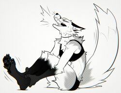  1girl animal_ears barefoot black_choker black_sports_bra body_fur choker claws closed_eyes commentary digitigrade english_commentary facing_up falvie fox_ears fox_girl fox_tail furry furry_female greyscale halftone holding_own_ankles monochrome motion_lines on_floor open_mouth original pawpads shouting simple_background sitting snout soles sports_bra stomach tail teeth white_background 